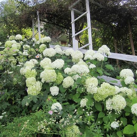Il Giardino Dell'Artemisia Villa ปิลา ภายนอก รูปภาพ