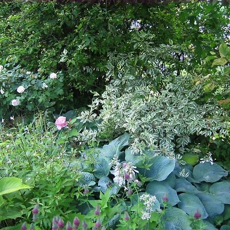 Il Giardino Dell'Artemisia Villa ปิลา ภายนอก รูปภาพ