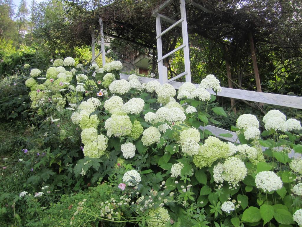 Il Giardino Dell'Artemisia Villa ปิลา ภายนอก รูปภาพ