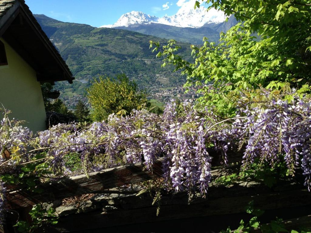 Il Giardino Dell'Artemisia Villa ปิลา ภายนอก รูปภาพ