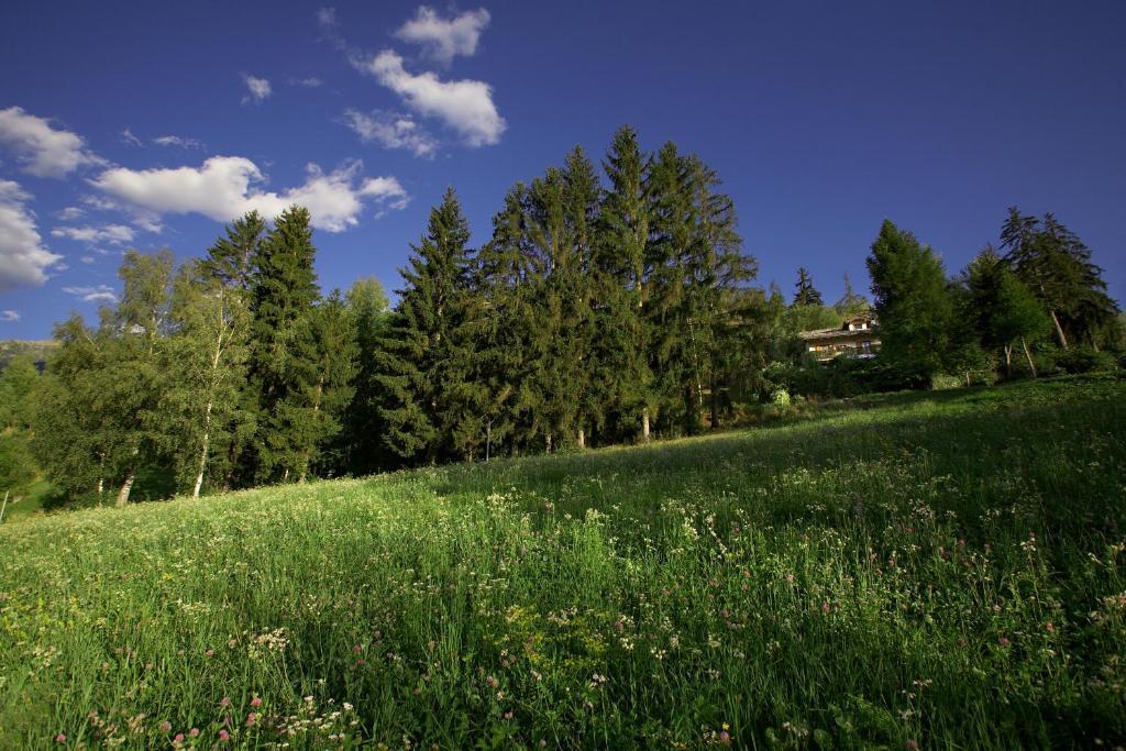 Il Giardino Dell'Artemisia Villa ปิลา ภายนอก รูปภาพ